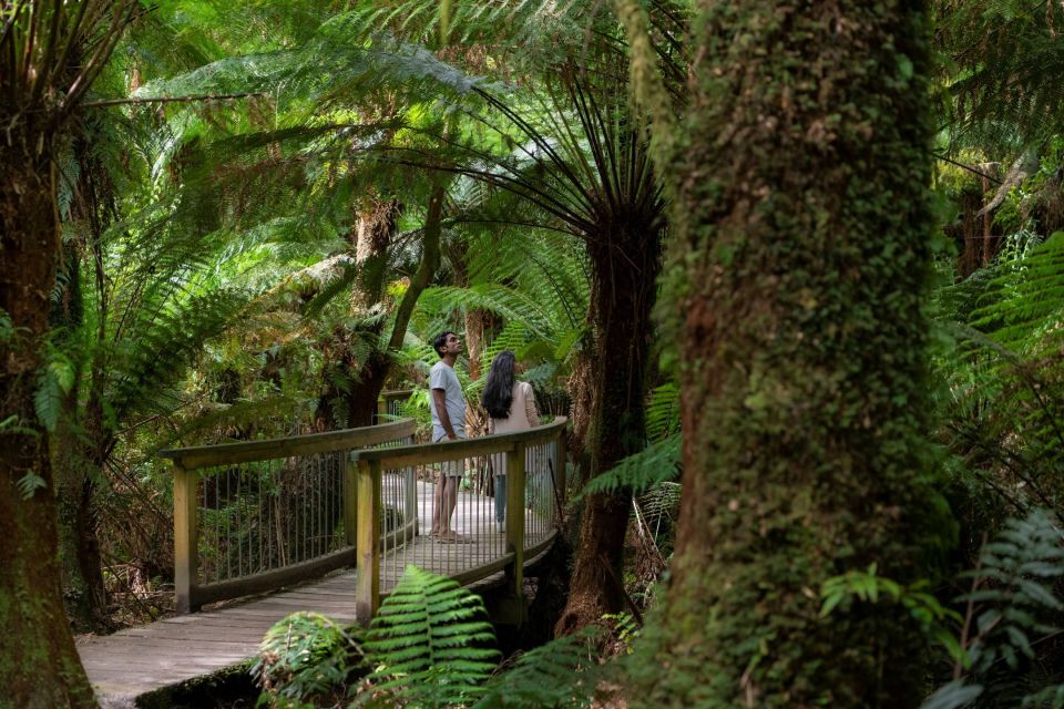 Melbourne: Great Ocean Road & Rainforest Trip - Highlights and Inclusions