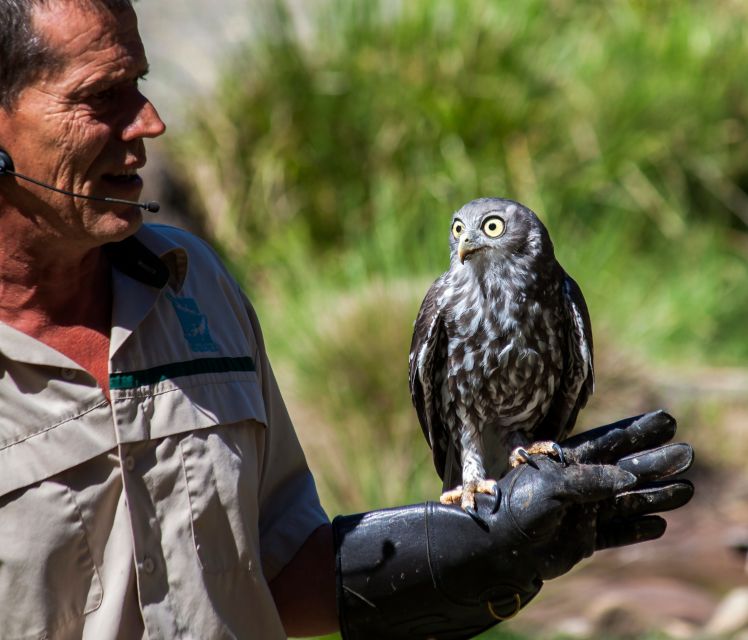 Melbourne: Healesville Sanctuary & Phillip Island Tour - Directions