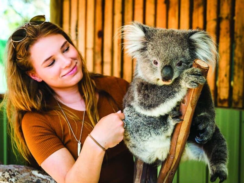 Melbourne Highlights & Aussie Wildlife Express Tour - Authentic Experiences and Traveler Feedback