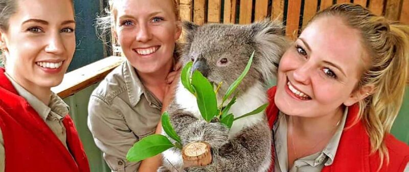 Melbourne Highlights & Aussie Wildlife Express Tour - The Sum Up: Who Will Love This Tour?