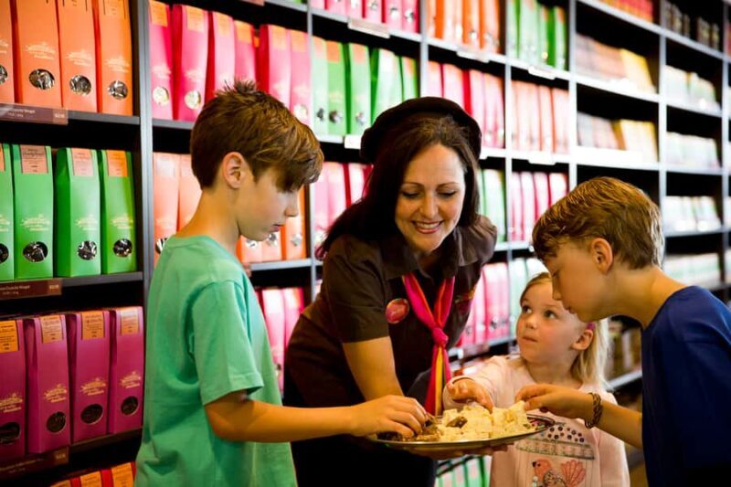 Melbourne: Lake Mountain Snow & Waterfalls Guided Tour - An In-Depth Look at the Tour