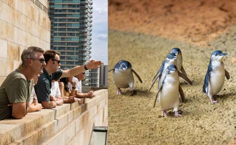 Melbourne Magic: City Highlights and Penguin Parade Tour - Exploring Melbourne: City Highlights