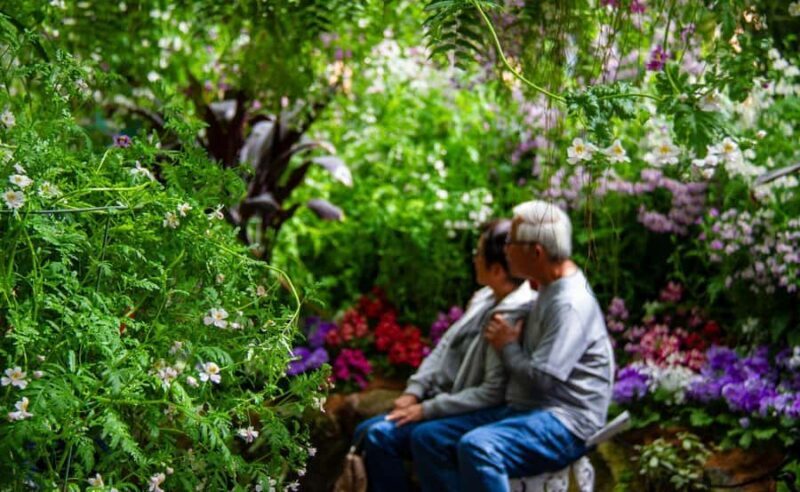 Melbourne Magic: City Highlights and Penguin Parade Tour - Practical Details and Value