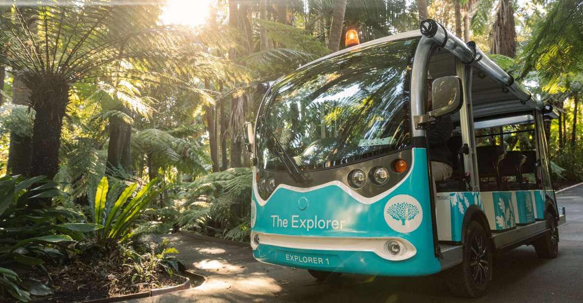 Melbourne: Melbourne Gardens Explorer Minibus Tour - Cancellation Policy