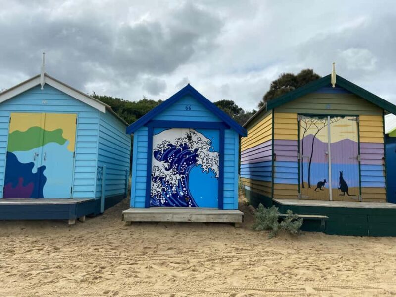 Melbourne: Moonlit Sanctuary and Brighton Beach Boxes Tour - Introduction