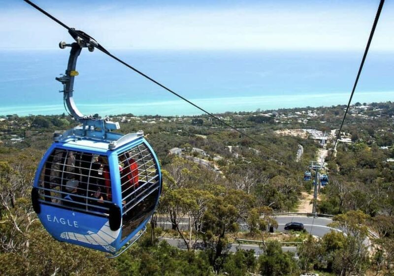 Melbourne: Mornington Peninsula Wine Tour with Lunch - Who Will Love This Tour?