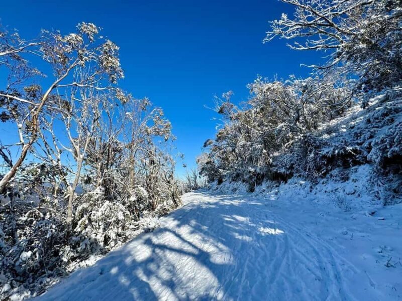 Melbourne: Mount Baw Baw Private Snow Tour with Guide - A Balance of Value and Experience