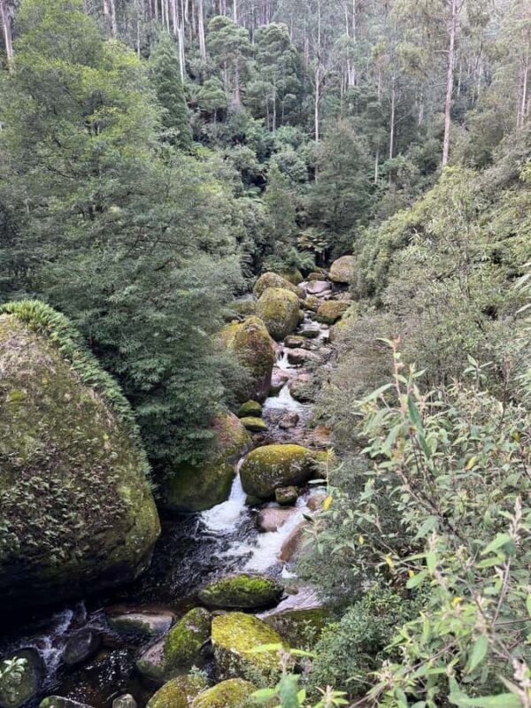 Melbourne: Mount Baw Baw Private Snow Tour with Guide - Final Thoughts