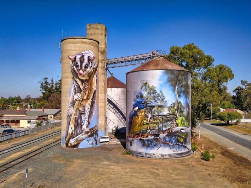 Melbourne: Murray River Paddle Steamer, Wine & Wildlife Tour - The Murray River & Paddle Steamer Experience