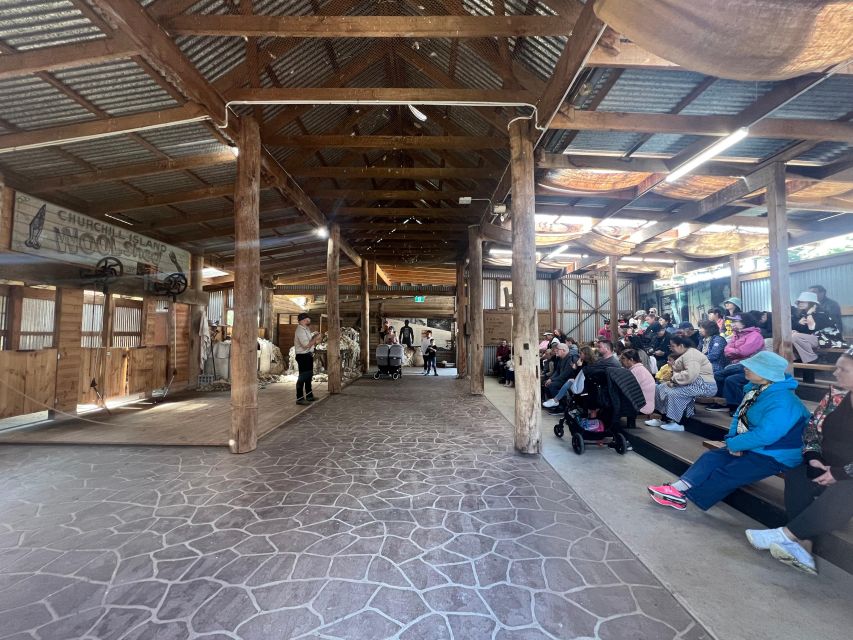 Melbourne: Penguin Parade & Churchill Island Farm Tour - Description