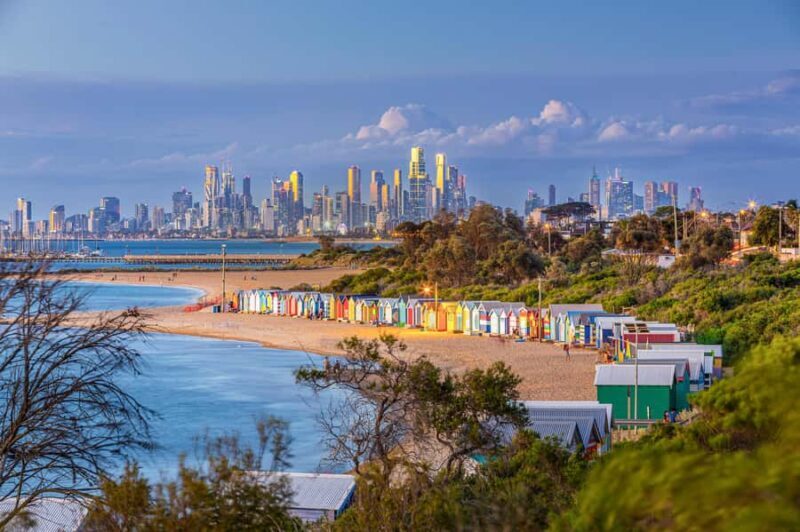 Melbourne: Penguin Parade , Koala & Brighton Bathing Boxes - Key Points