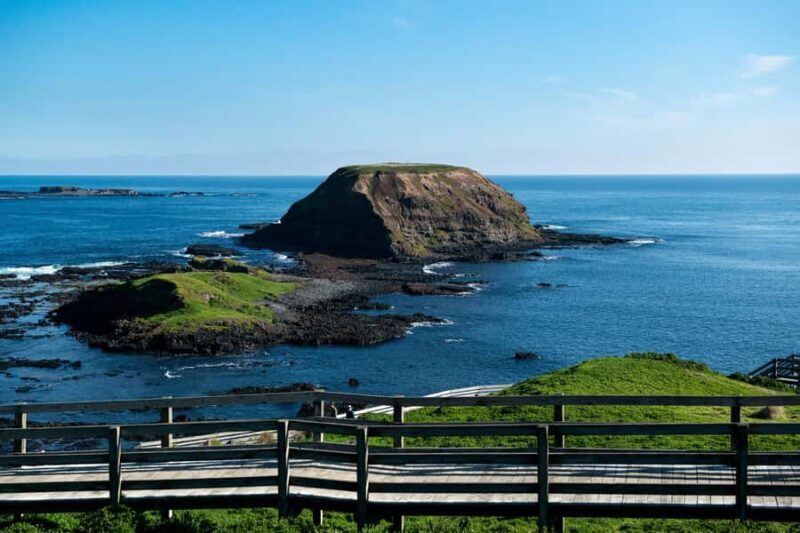 Melbourne: Penguin Parade , Koala & Brighton Bathing Boxes - How to Get the Most Out of This Tour