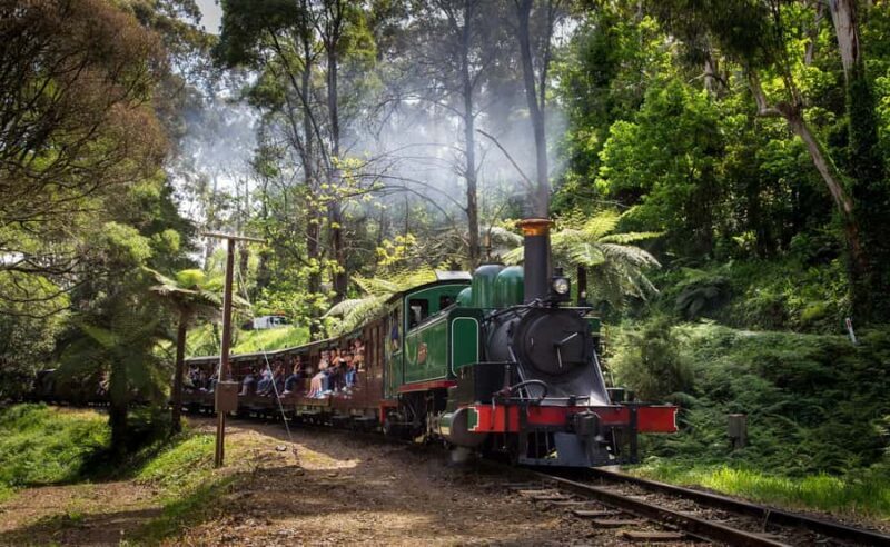 Melbourne: Penguin Parade Tour with Puffing Billy Train Ride - Key Points