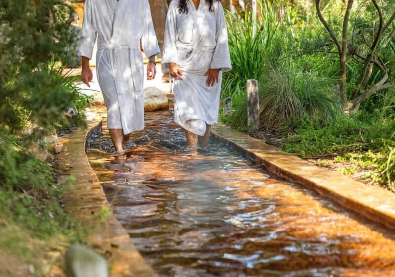 Melbourne: Peninsula Hot Springs with Lunch and Wine - Key Points