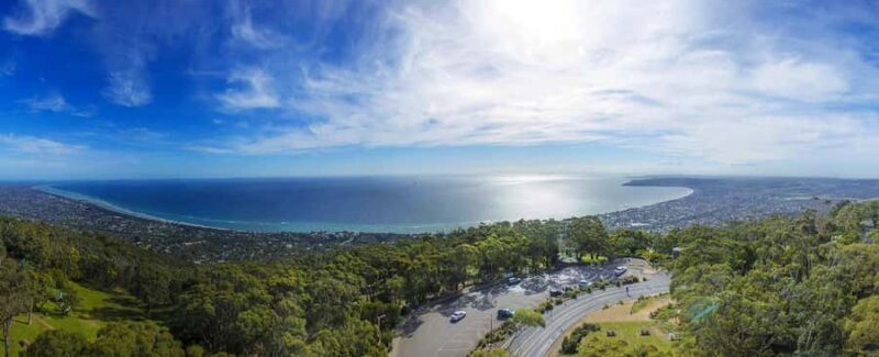 Melbourne: Peninsula Sightseeing Driving Day Tour - Key Points