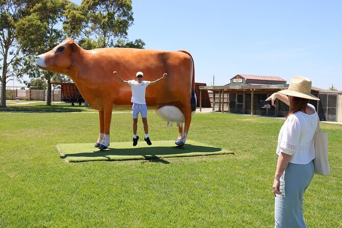 Melbourne Phillip Island 1 Day Tour - A Day Trip That Packs a Punch