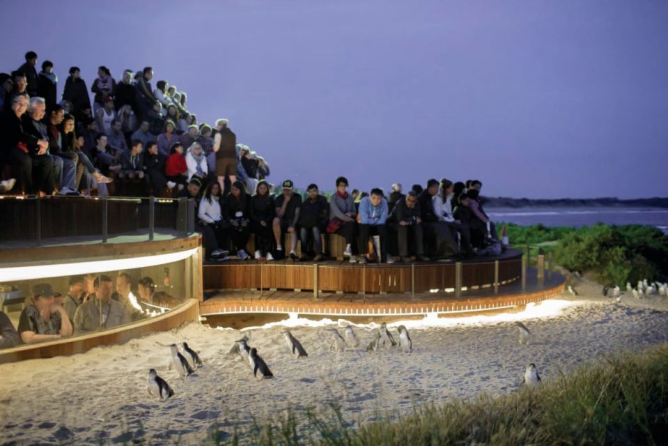 Melbourne: Phillip Island Penguins and Wildlife Sanctuary - Price and Duration