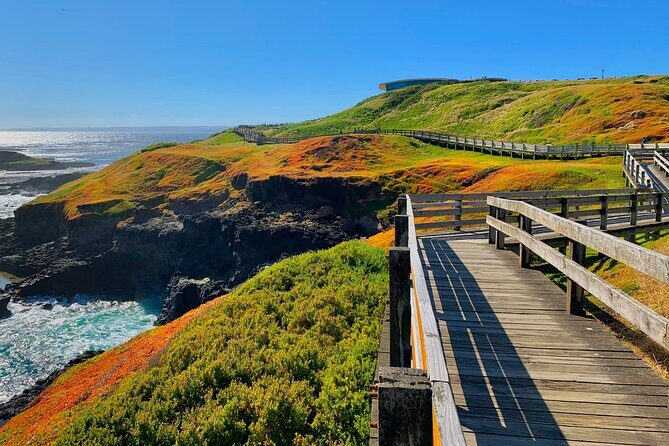 Melbourne Phillip Island Private Tour: Penguin Parade & Wildlife - The Sum Up