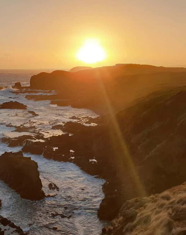 Melbourne: Phillip Island Private Tour with Penguin Parade - Final Thoughts