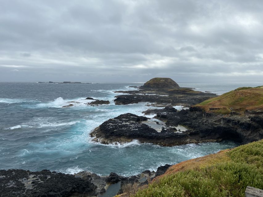 Melbourne: Phillip Island Tour & Penguin Parade - Key Points