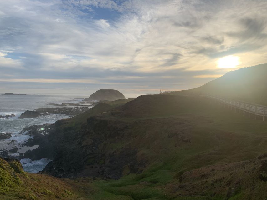 Melbourne: Phillip Island Tour & Penguin Parade - Reviews