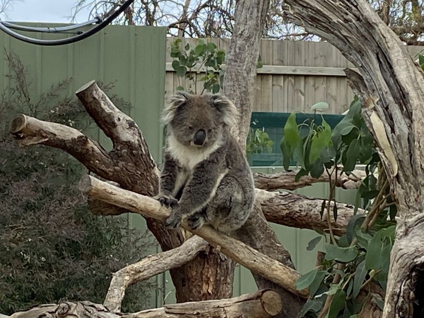 Melbourne: Phillip Island Tour & Penguin Parade - Directions
