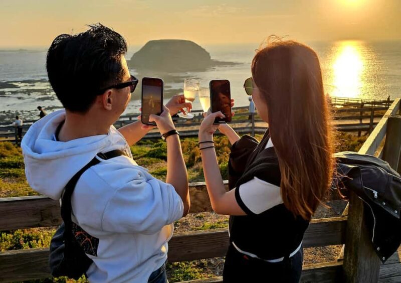 Melbourne: Phillip Island Tour w/ Hop-on Bus or Seal Cruise - Introduction: What This Tour Offers