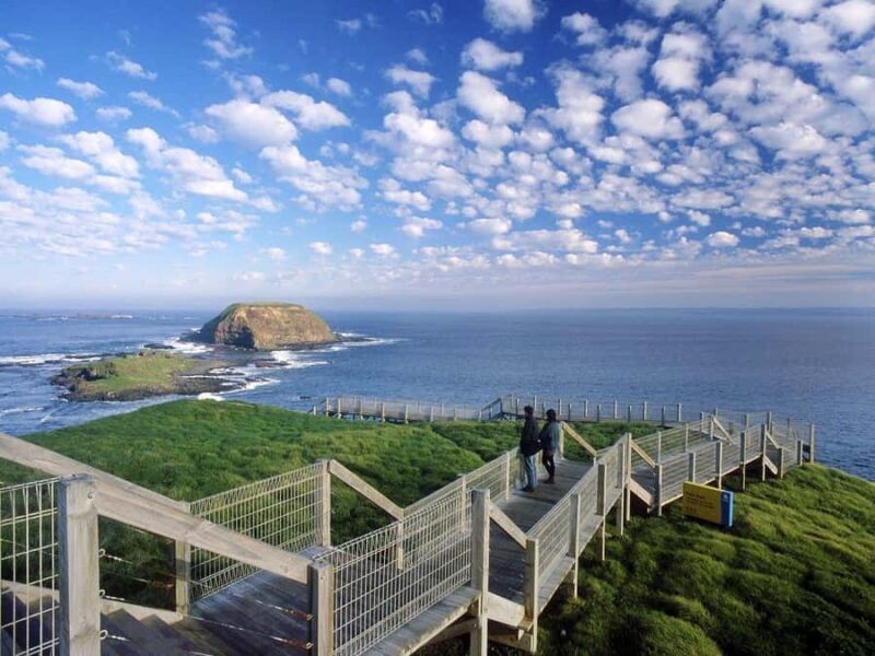 Melbourne: Phillip Island Tour with Koalas & Penguins - Key Points