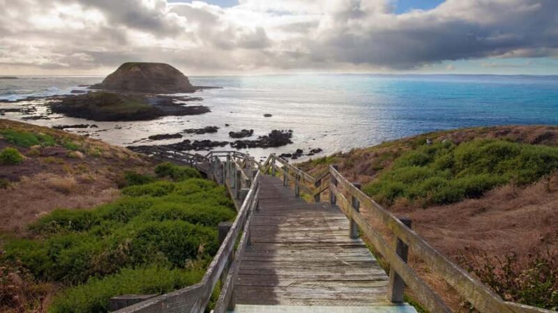 Melbourne: Phillip Island Tour with Koalas & Penguins - What Makes This Tour Stand Out