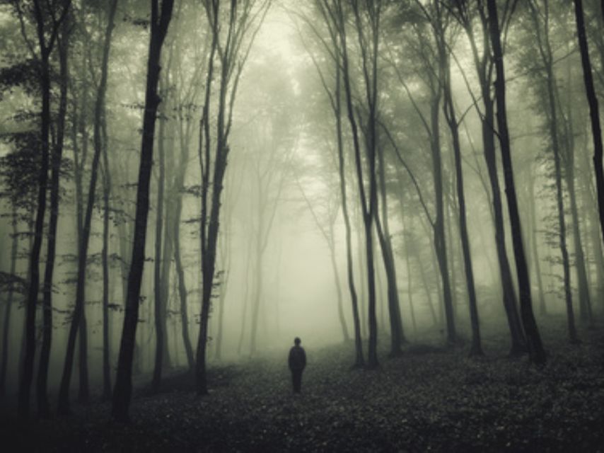 Melbourne: Point Cook Homestead Ghost Tour - Important Tour Information