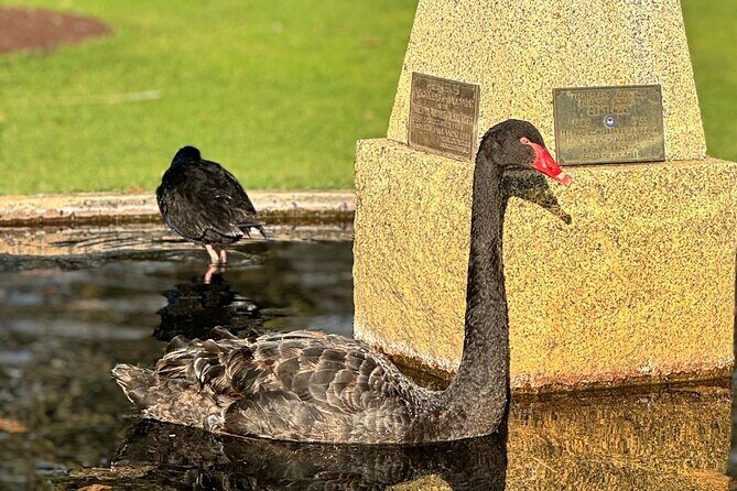 Melbourne Private Ballarat Sovereign Hill Gold Mine Tours - Practical Considerations