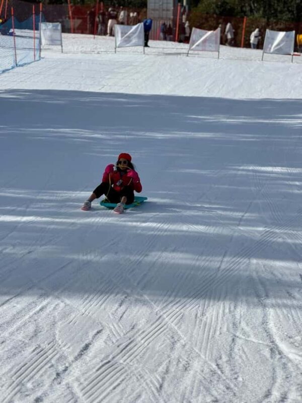 Melbourne: Private Lake Mountain Snow & Redwood Forest Tours - Key Points