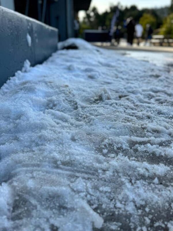 Melbourne: Private Lake Mountain Snow & Redwood Forest Tours - An In-Depth Look at the Tour’s Highlights