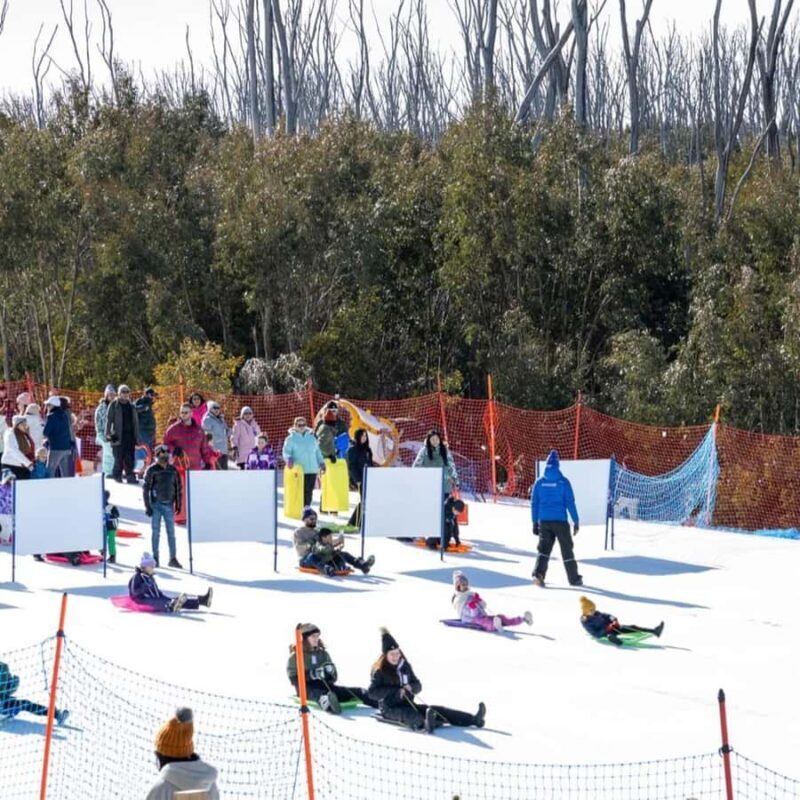 Melbourne: Private Lake Mountain Snow & Redwood Forest Tours - FAQ