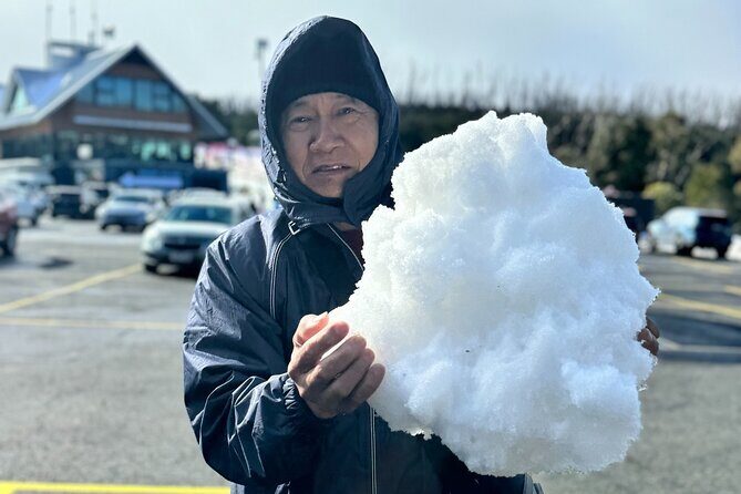 Melbourne: Private Lake Mountain Snow Tours & Redwood Rain Forest - A Full Breakdown of the Tour Experience