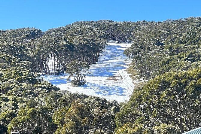 Melbourne: Private Lake Mountain Snow Tours & Redwood Rain Forest - FAQ