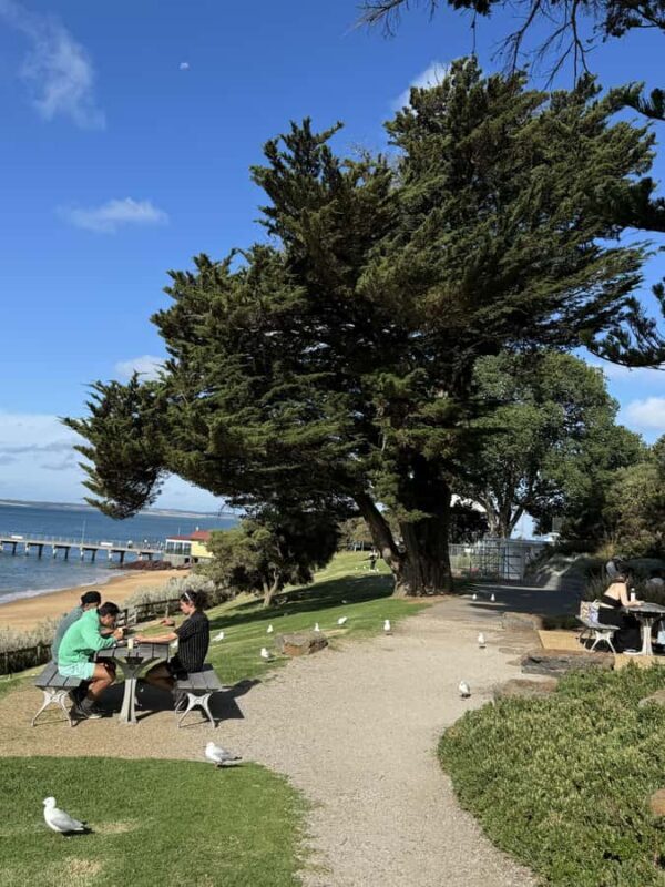 Melbourne: Private Phillip Island Penguin Parade Tours - FAQs