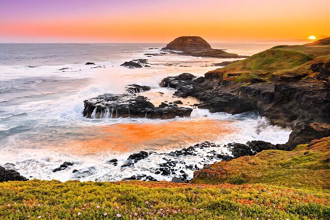 Melbourne Puffing Billy Penguin wine choc(16 max) Hotel Pick Up - Final Thoughts: Is This Tour Worth It?