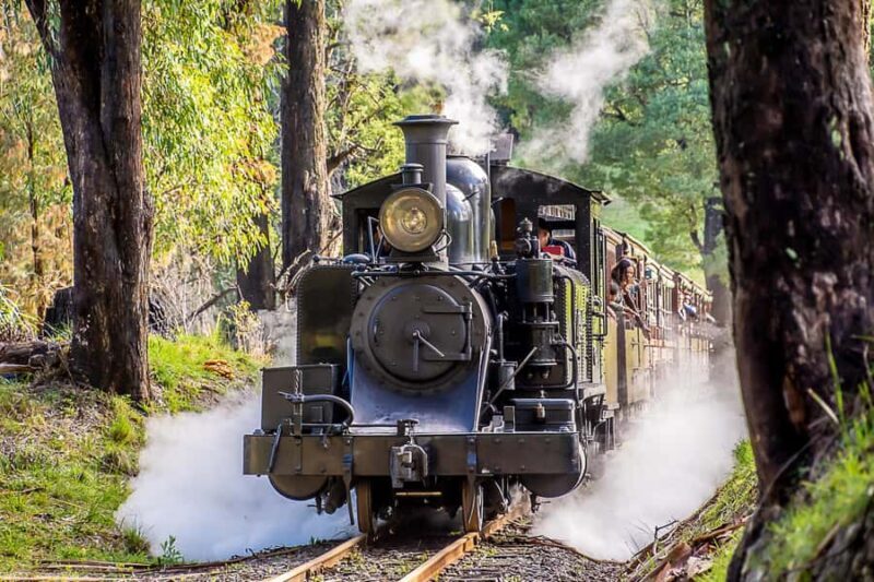 Melbourne Puffing Billy & Penguins Day Tour - Key Points
