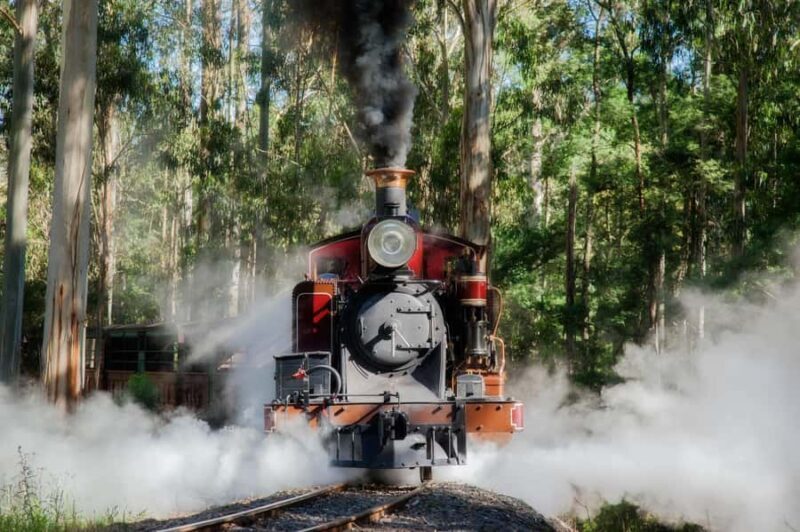 Melbourne Puffing Billy & Penguins Day Tour - Who Is This Tour Best For?