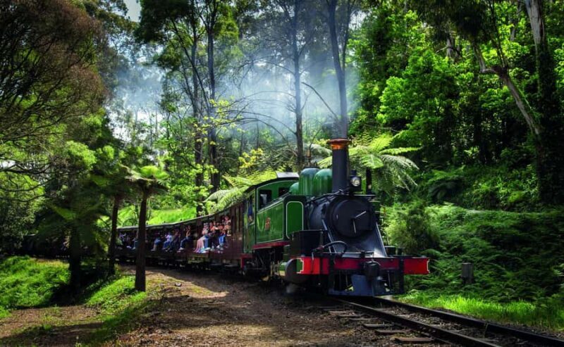 Melbourne Puffing Billy & Penguins Day Tour - The Sum Up