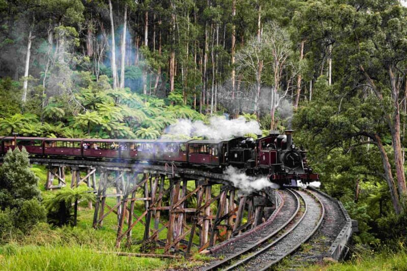 Melbourne: Puffing Billy Railway & Penguin Parade Day Tour - The Day Begins: Convenient Pickup & Scenic Coach Journey