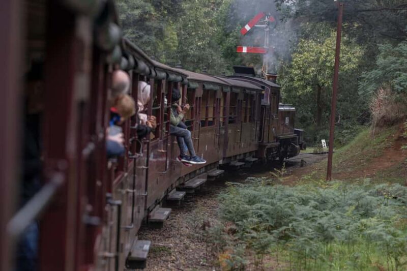 Melbourne: Puffing Billy Railway & Penguin Parade Day Tour - What Reviewers Say