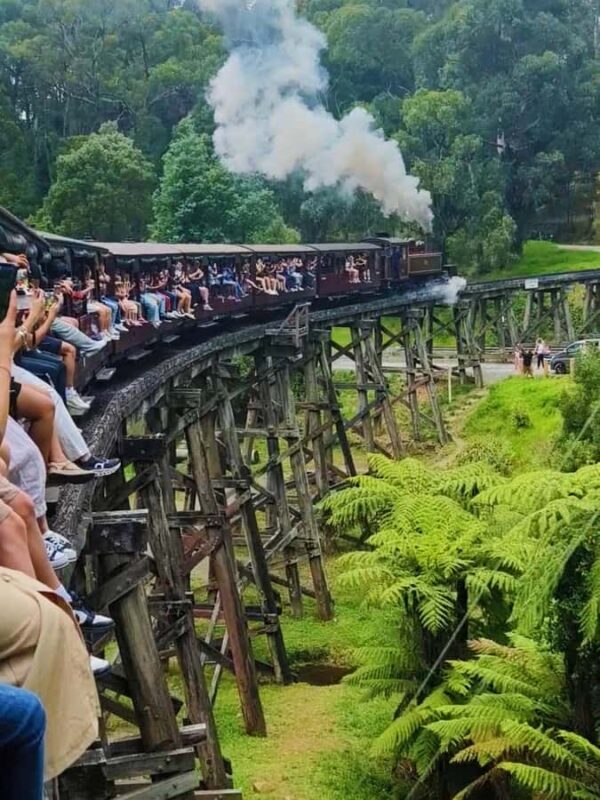 Melbourne: Puffing Billy Train and Penguin Island Day Tour - Key Points