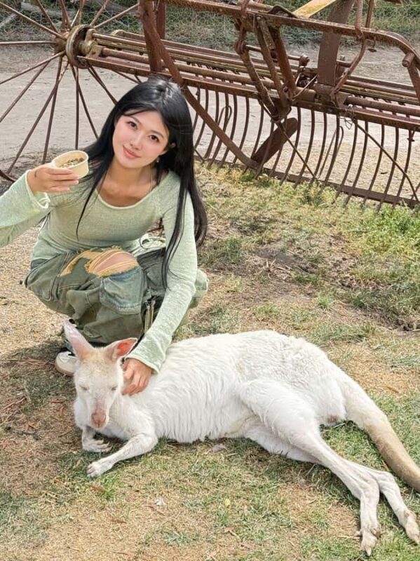 Melbourne: Puffing Billy Train and Penguin Island Day Tour - FAQ