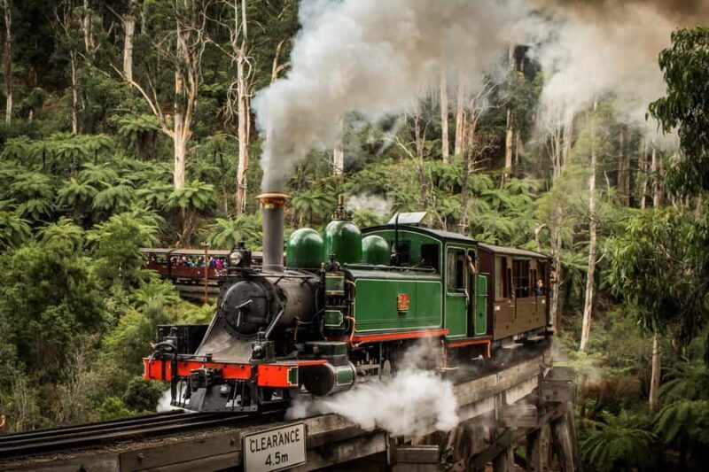 Melbourne: Puffing Billy Train Wildlife Zoo Private Tour - Melbourne: Puffing Billy Train Wildlife Zoo Private Tour – A Complete Review