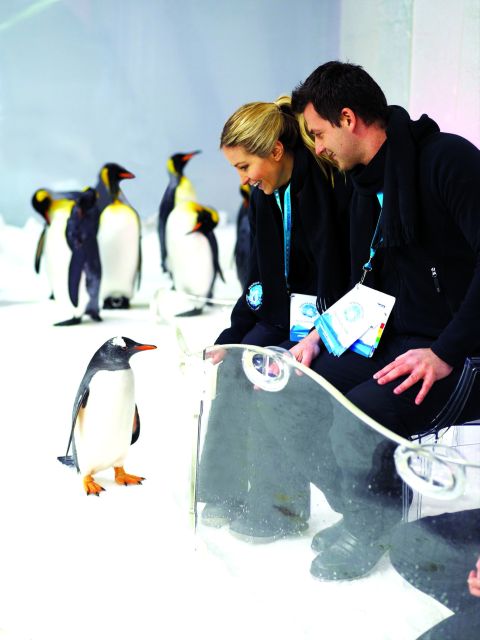 Melbourne: SEA LIFE Aquarium Entrance Ticket - Key Points