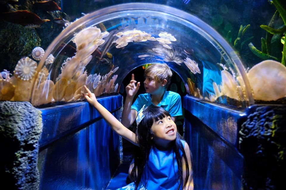 Melbourne: SEA LIFE Aquarium Entrance Ticket - Experience Overview and Highlights
