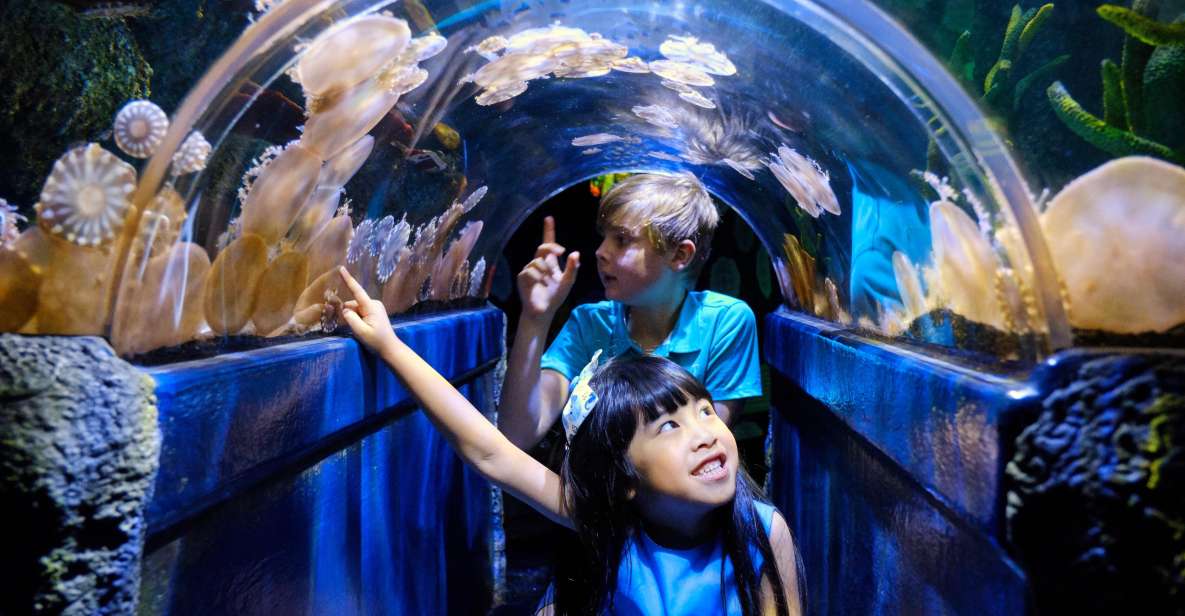 Melbourne: SEA LIFE Aquarium Entrance Ticket - Inclusions and Additional Activities