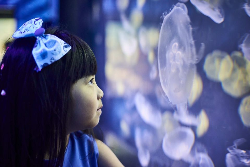 Melbourne: SEA LIFE Aquarium Entrance Ticket - Location and Marine Life Display